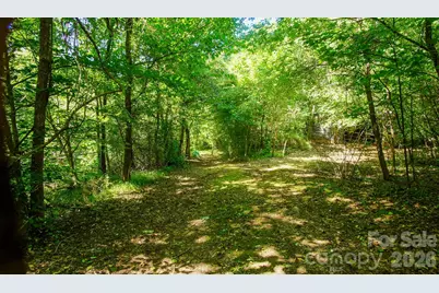 00 Ode Kerley Lane, Taylorsville, NC 28681 - Photo 6