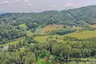 17 Berry Hill Rd, Asheville, NC 28806 - Photo 6