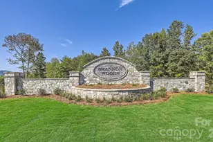 2087 Morning Gold Dr, Maiden, NC 28650 - Photo 10