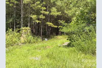 000 Thompson Lake Road, Rutherfordton, NC 28139 - Photo 2