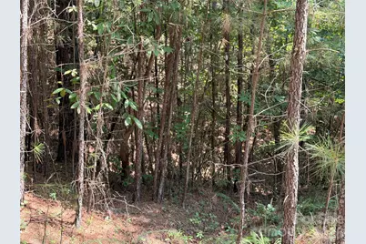 000 Thompson Lake Road, Rutherfordton, NC 28139 - Photo 4
