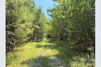 000 Thompson Lake Road, Rutherfordton, NC 28139 - Photo 6