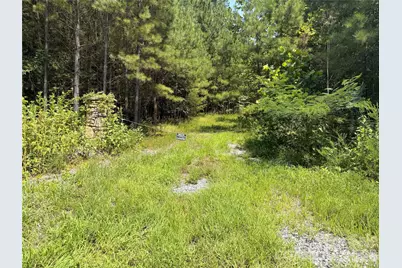 000 Thompson Lake Road, Rutherfordton, NC 28139 - Photo 10