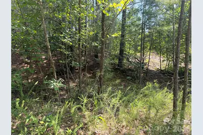 000 Thompson Lake Road, Rutherfordton, NC 28139 - Photo 8