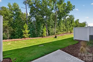 193 Landy St, Fort Mill, SC 29715 - Photo 20
