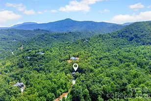 1767 Catawba Falls Pkwy, Black Mountain, NC 28711 - Photo 44