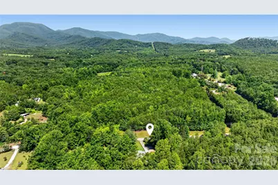 604 Belue Mill Road, Landrum, SC 29356 - Photo 44