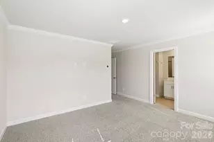9008 Foggy Brook Loop, Charlotte, NC 28216 - Photo 20