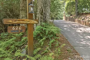 620 Thunder Rd, Brevard, NC 28712 - Photo 42