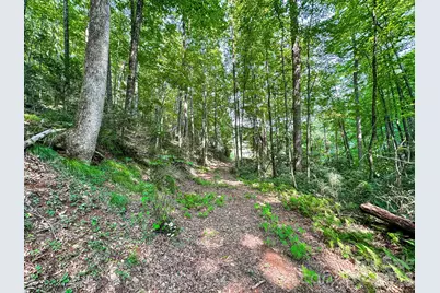 82 Trout Haven Lane, Balsam Grove, NC 28708 - Photo 46