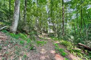 82 Trout Haven Ln, Balsam Grove, NC 28708 - Photo 46
