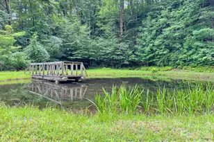 82 Trout Haven Ln, Balsam Grove, NC 28708 - Photo 44