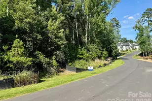14212 Ryker Wy, Davidson, NC 28036 - Photo 1