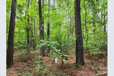 000 Grace Church Road, Salisbury, NC 28147 - Photo 12