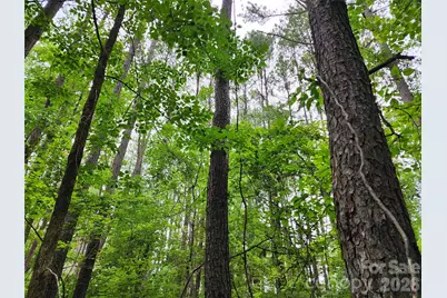 000 Grace Church Road, Salisbury, NC 28147 - Photo 6