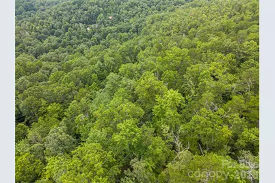 45 Lobdell Road #45, Pisgah Forest, NC 28768 - Photo 6