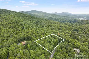 45 Lobdell Rd, Pisgah Forest, NC 28768 - Photo 1