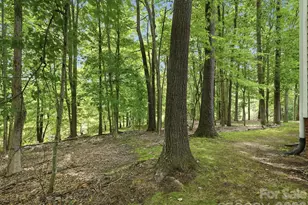 401 Brenwyck Ct, Matthews, NC 28105 - Photo 38