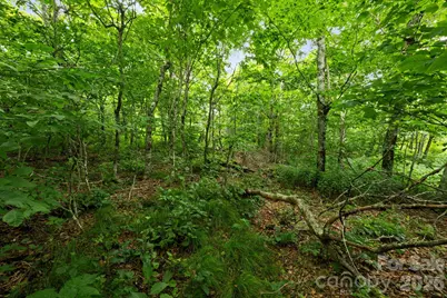 Lot 96 Cloud Spring Drive #96, Sugar Mountain, NC 28604 - Photo 8