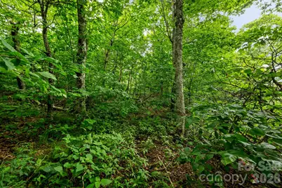 Lot 96 Cloud Spring Drive #96, Sugar Mountain, NC 28604 - Photo 6