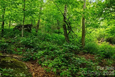 Lot 96 Cloud Spring Drive #96, Sugar Mountain, NC 28604 - Photo 14