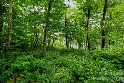 Lot 96 Cloud Spring Drive #96, Sugar Mountain, NC 28604 - Photo 12