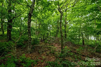 Lot 96 Cloud Spring Drive #96, Sugar Mountain, NC 28604 - Photo 10