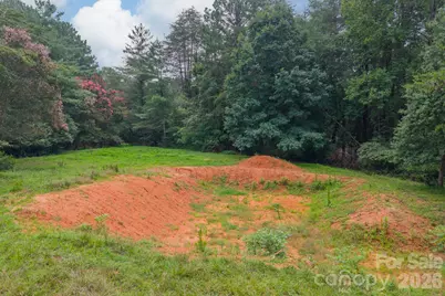 2232 Grey Road, Davidson, NC 28036 - Photo 6