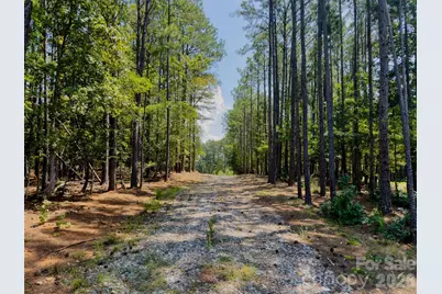 955 Cole Trestle Road, Blair, SC 29015 - Photo 4