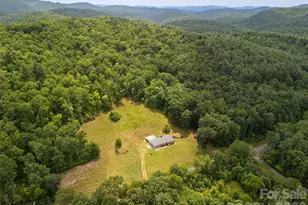 821 Tanasee Gap Rd, Balsam Grove, NC 28708 - Photo 28