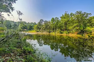 328 Wooded Vly Ln, Burnsville, NC 28714 - Photo 46