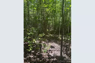 0 E Pine Hill Avenue, Morganton, NC 28655 - Photo 16