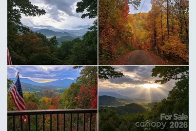 900 Mountain Cove Road, Waynesville, NC 28786 - Photo 46