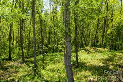 9999 Bee Balm Way #55, Asheville, NC 28804 - Photo 2