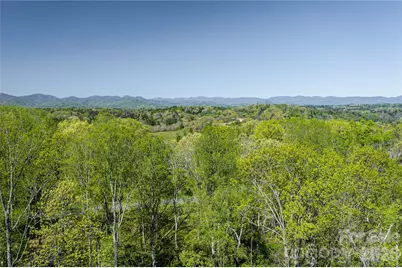9999 Bee Balm Way #55, Asheville, NC 28804 - Photo 4