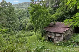 4501 Cove Creek Rd, Waynesville, NC 28785 - Photo 34
