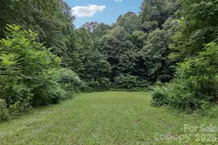 4501 Cove Creek Rd, Waynesville, NC 28785 - Photo 36