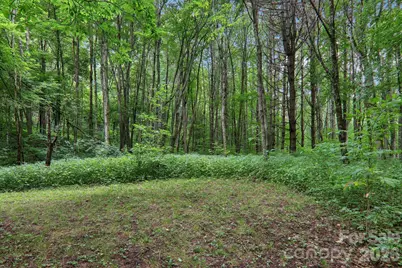 4501 Cove Creek Road, Waynesville, NC 28785 - Photo 38
