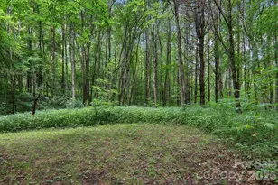 4501 Cove Creek Rd, Waynesville, NC 28785 - Photo 38