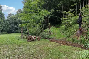 4501 Cove Creek Rd, Waynesville, NC 28785 - Photo 40