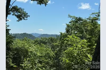 673 Chestnut Lane, Mars Hill, NC 28754 - Photo 2