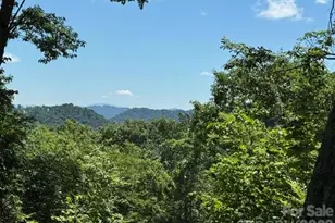 673 Chestnut Ln, Mars Hill, NC 28754 - Photo 2