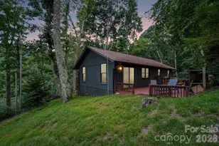 673 Chestnut Ln, Mars Hill, NC 28754 - Photo 10