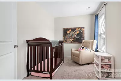 10008 Michael Crossing Drive, Charlotte, NC 28213 - Photo 6