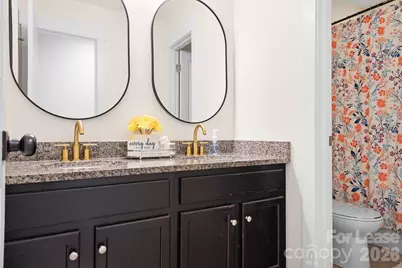 10008 Michael Crossing Drive, Charlotte, NC 28213 - Photo 12