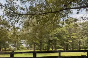 350 Vick Russell Ln, Columbus, NC 28722 - Photo 2