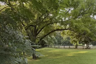 350 Vick Russell Ln, Columbus, NC 28722 - Photo 4