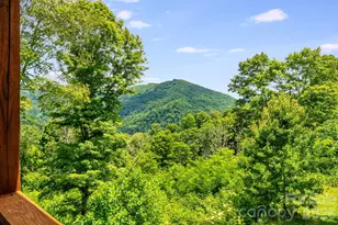 1185 Black Bear Dr, Mars Hill, NC 28754 - Photo 20