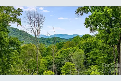 1185 Black Bear Drive, Mars Hill, NC 28754 - Photo 46