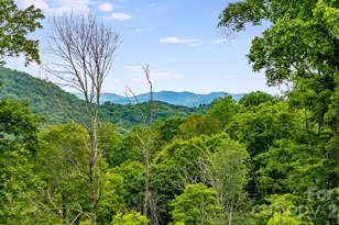 1185 Black Bear Dr, Mars Hill, NC 28754 - Photo 46